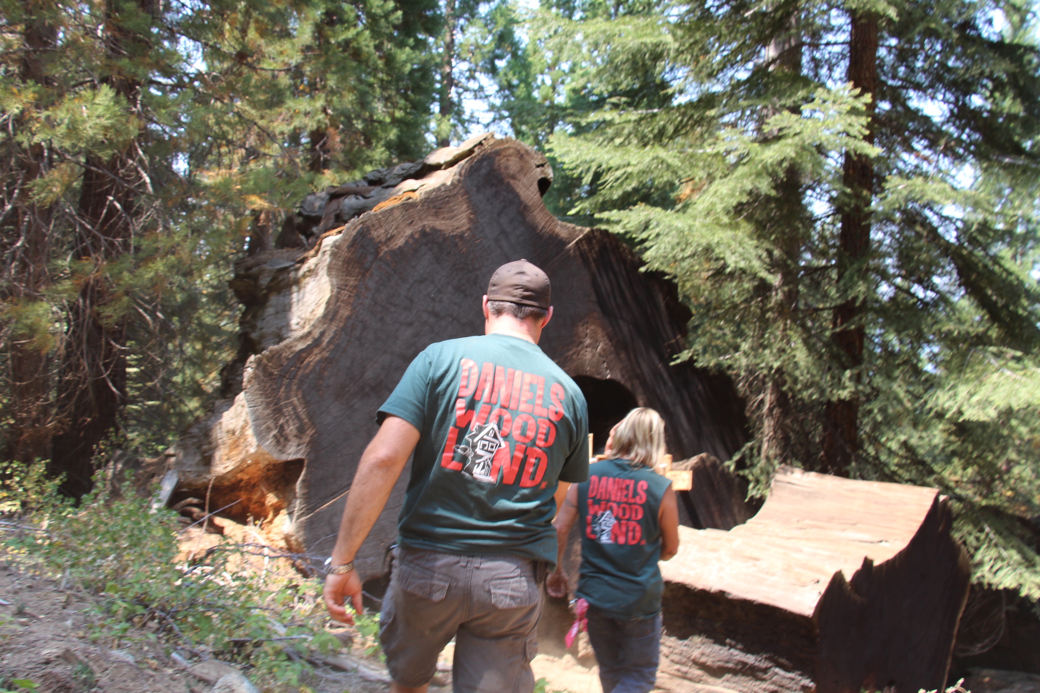 Daniels Wood Land Owners Ron, John and Customers